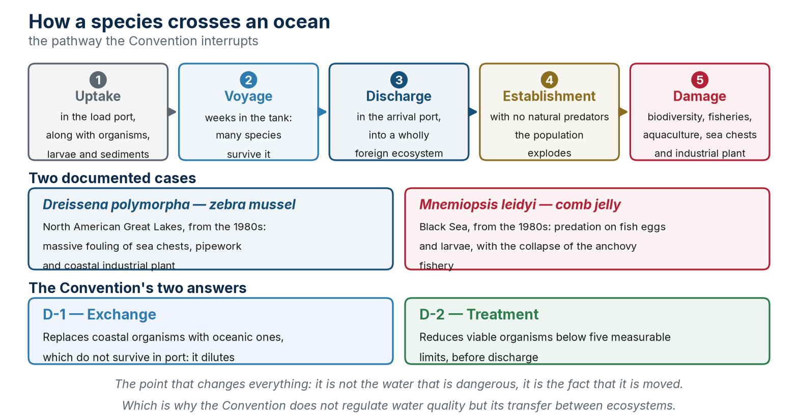 The pathway by which invasive species are introduced, two documented cases and the Convention’s two answers.