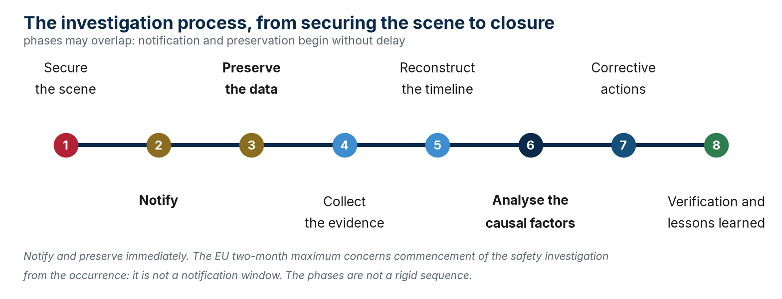 Investigation phases may overlap. Notify and preserve without delay; the EU two-month limit concerns commencement from the occurrence.