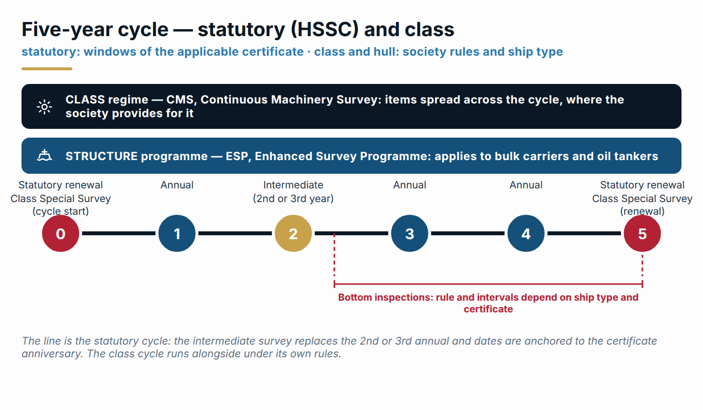 Five-year survey cycle under the harmonised regime (indicative diagram).
